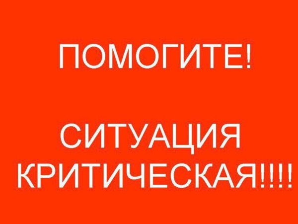 Ситуация критическая помогите