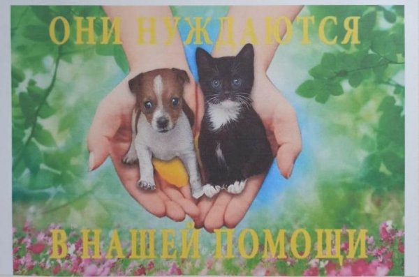 Защитим животных