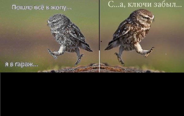 Пойду в гараж ключи забыл