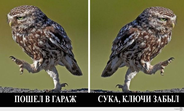 Пойду в гараж ключи забыл