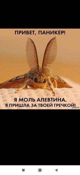 Привет я моль Алевтина