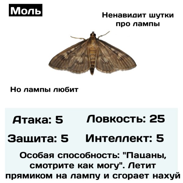 Моль прикол