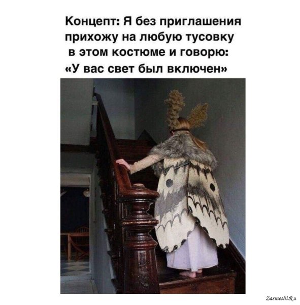 Костюм мотылька прикол