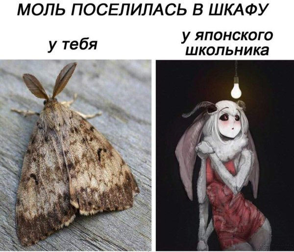 Смешная моль