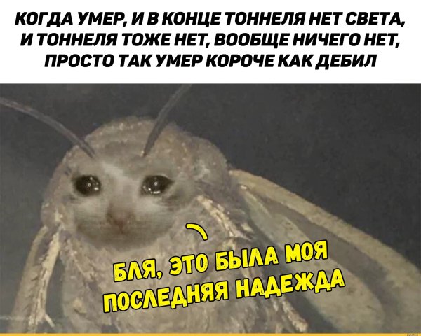 Моль прикол
