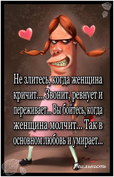 Черный котенок злится