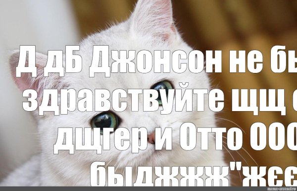 Сдай за меня сессию а то у меня лапки