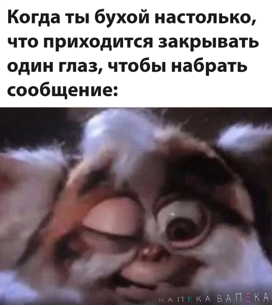Кот грустит