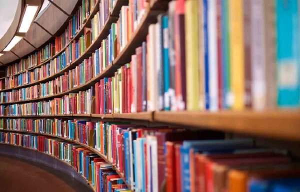 Книжная библиотека