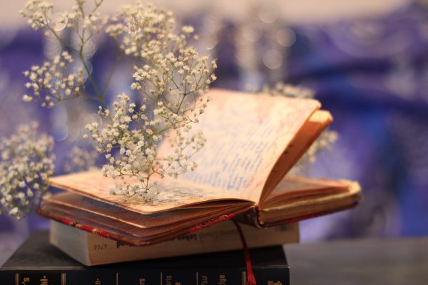 Красивые книги