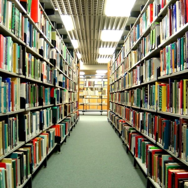 Библиотека ряды книг
