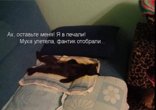 Уйди работа я в печали
