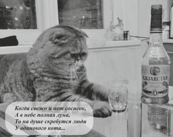 Тоска смешные картинки