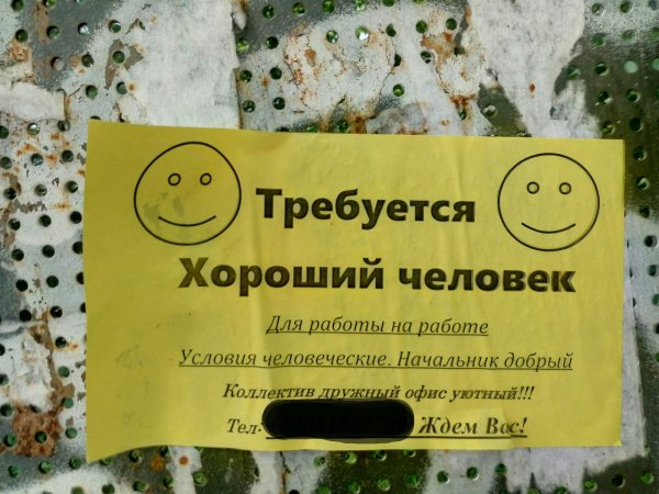 Веселые цитаты в картинках