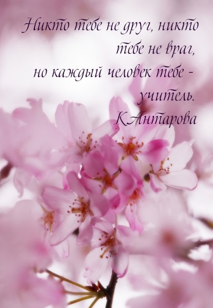 Открытки мотиваторы