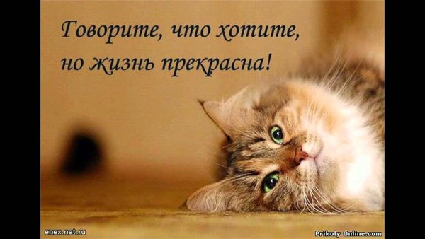 Открытки для поднятия настроения