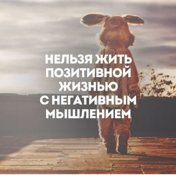 Новорожденный Весна