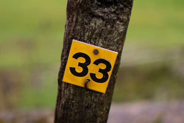 Цифра 33 картинка