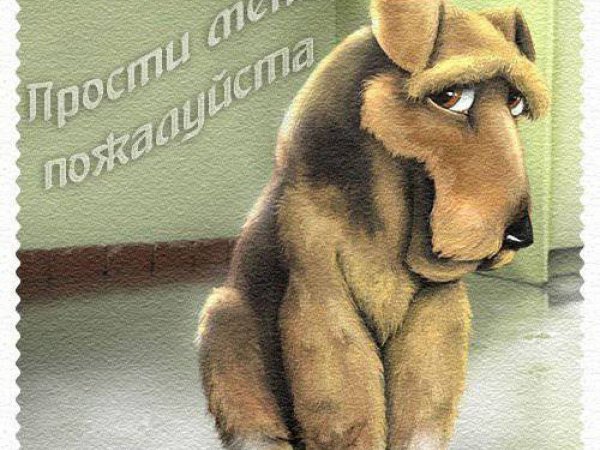 Открытка "извини"