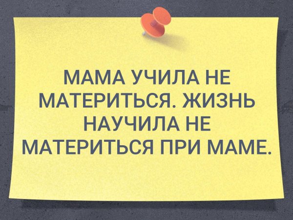 Мама учила не материться жизнь научила не материться при маме