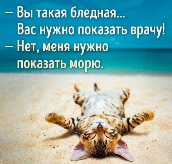 Анекдоты про отпуск в картинках