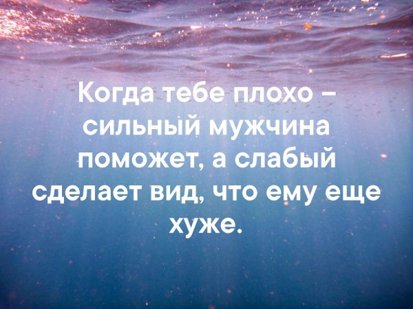 Любимое мы любим без причин