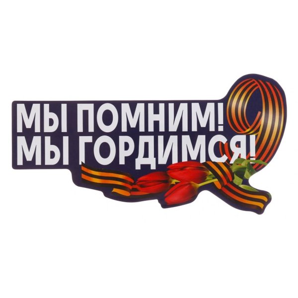 Мы помним мы гордимся надпись