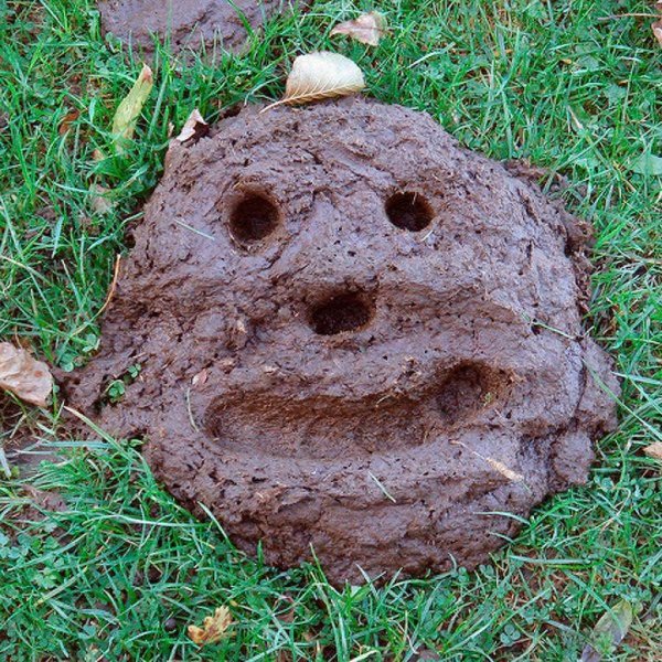 Грунт Soil