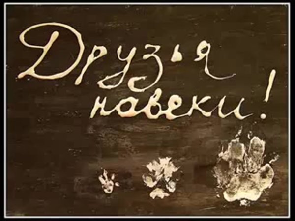 Друзья надпись
