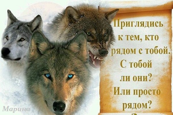 Приглядитесь к тем кто рядом