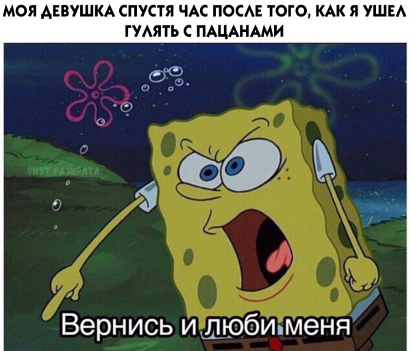 Кошки и собаки юмор