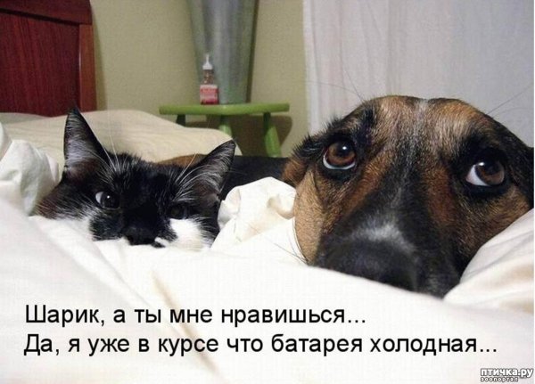 Ты Хлебушек