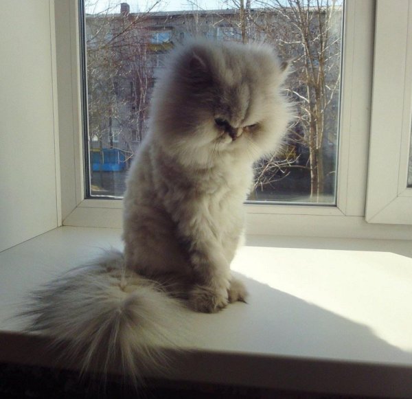 Не дуйся на меня