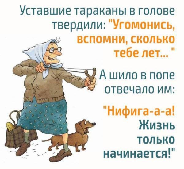 Жить надо весело приколы в картинках