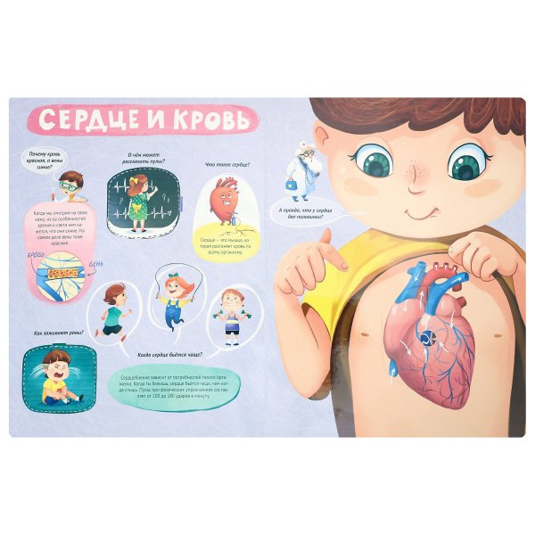 Тело человека книжка с окошками