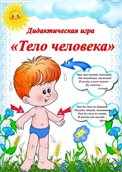 Тело человека для садика