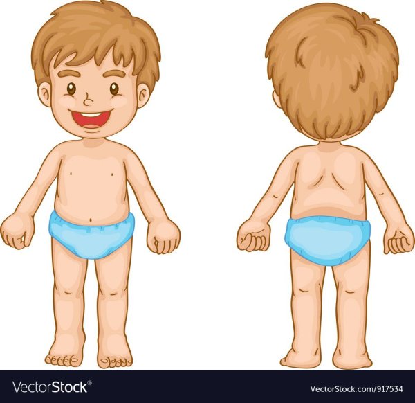Тело мальчика для детей
