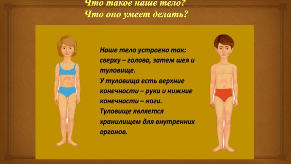 Презентация наше тело дошкольникам