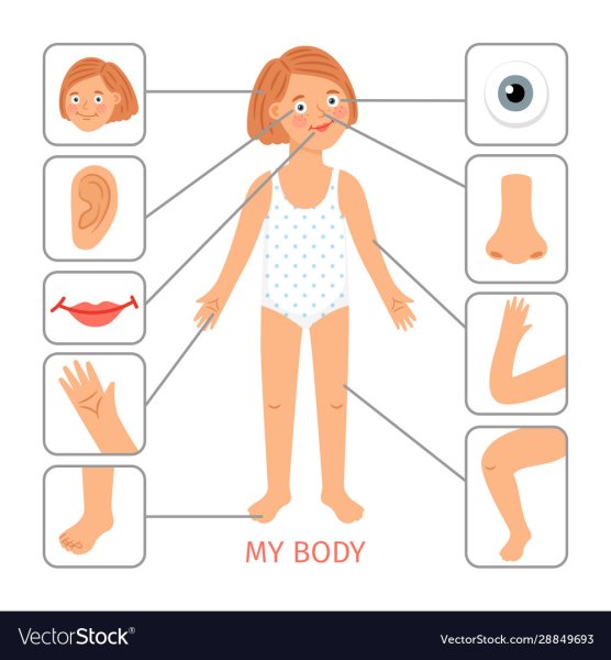 Организм детей девочек