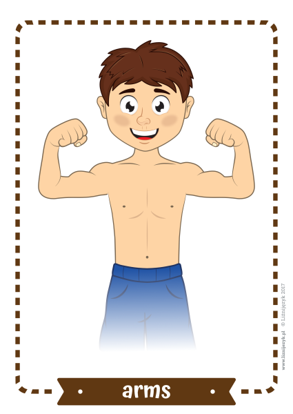 Bodyparts карточки для детей