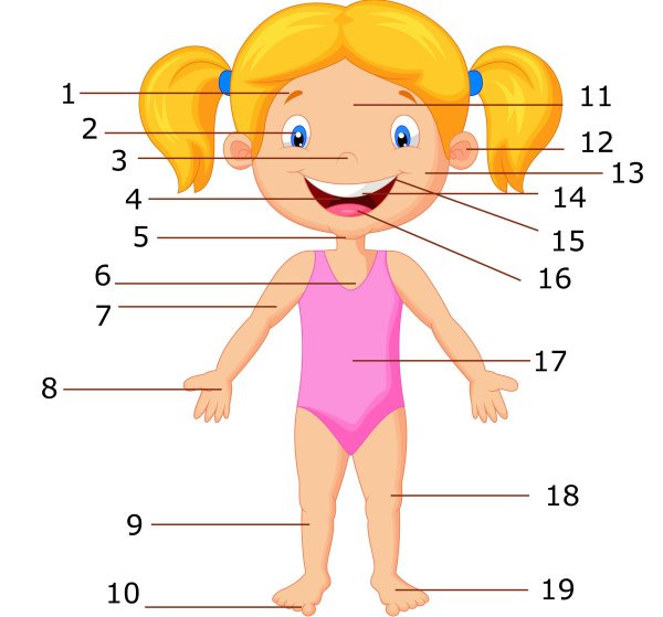 Подписать части тела