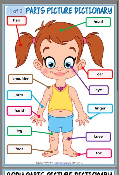 Части тела на английском для дошкольников
