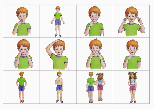 Карточки с изображением частей тела