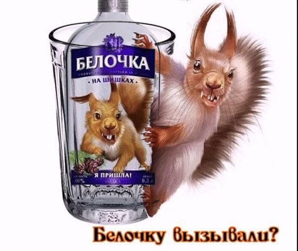 Белочка пришла к алкашу