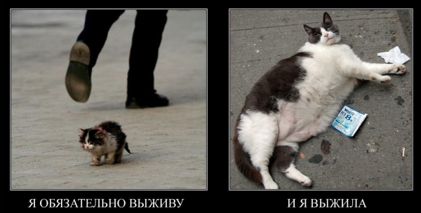Я обязательно выжиживу