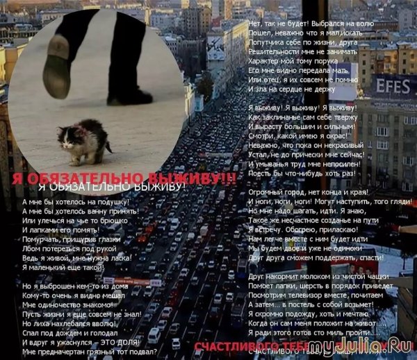 Грустные стихи до слез про животных