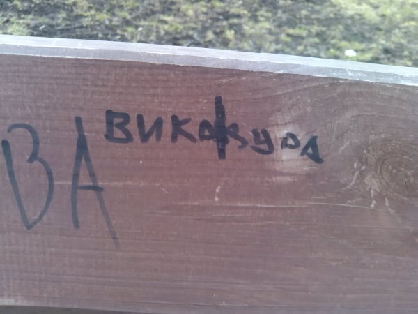 Вика дурочка