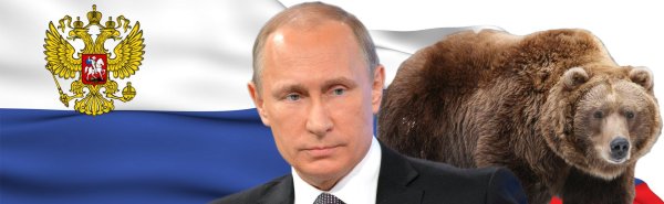 Владимир Владимирович на медведе