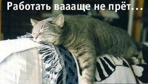 Работать вообще не прет