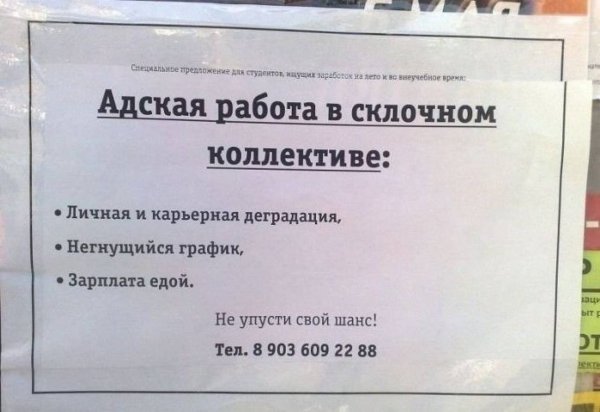 Работа в склочном коллективе